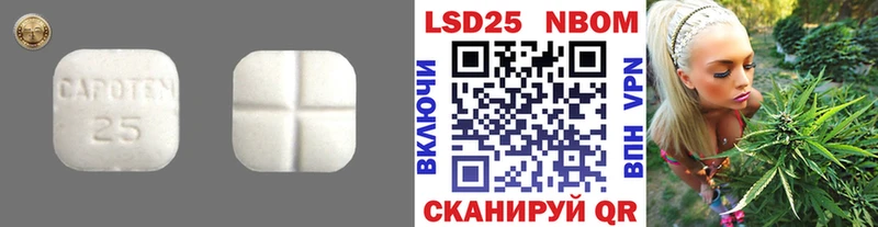 omg онион  Богородицк  Лсд 25 экстази ecstasy 