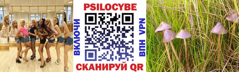 Псилоцибиновые грибы GOLDEN TEACHER Богородицк
