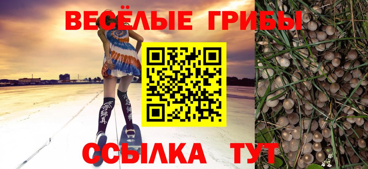 Богородицк  Галлюциногенные грибы GOLDEN TEACHER  купить  сайты  Вход с VPN 