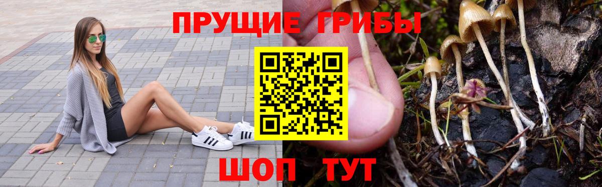 Галлюциногенные грибы MAGIC MUSHROOMS  Богородицк  Галлюциногенные грибы мухоморы 